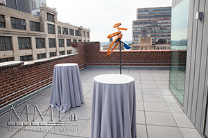 maxwell gallery roof top